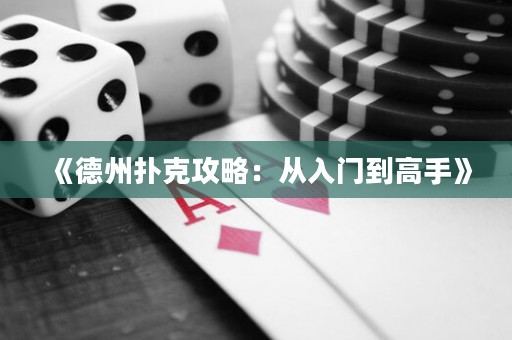 《德州撲克攻略：從入門到高手》